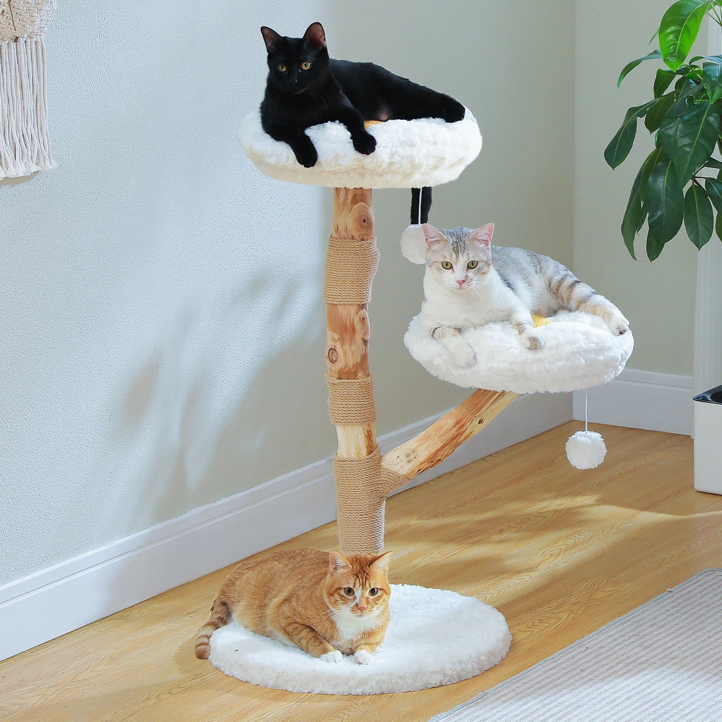 Three cats on a multi-level cat tree in a room with a plant and rug.