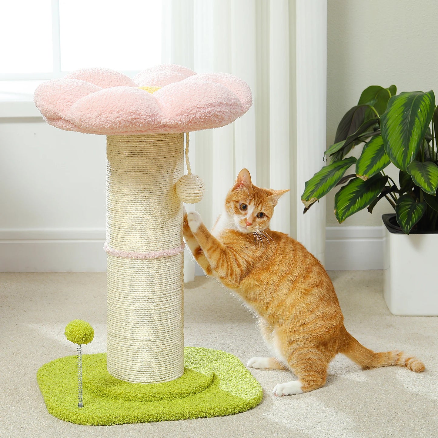 Cat playing with a cat scratching tree in a home setting