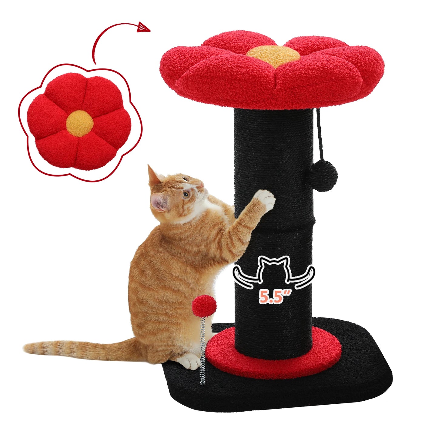 Cat playing with a black-and-red flower-shaped cat scratching post.