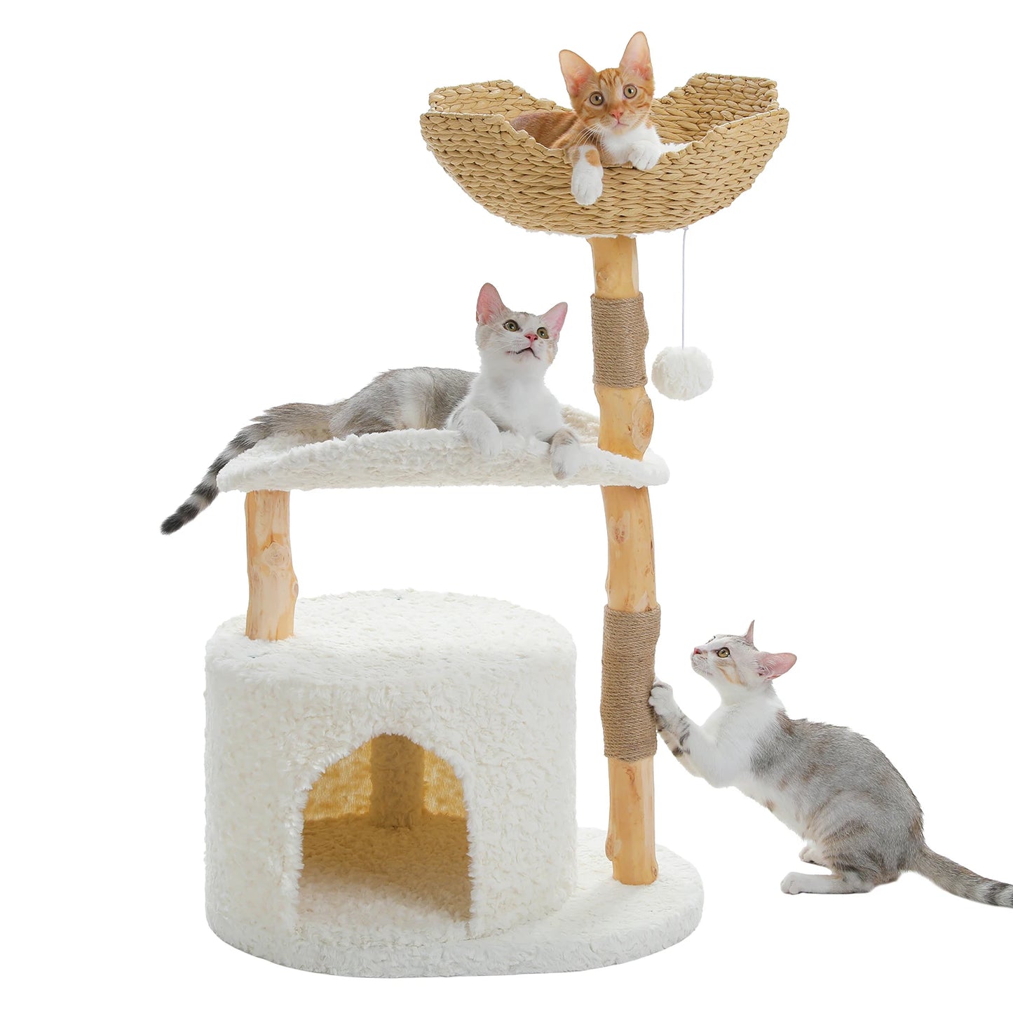Cat tree with multiple levels and a cat sitting on each level against a white background