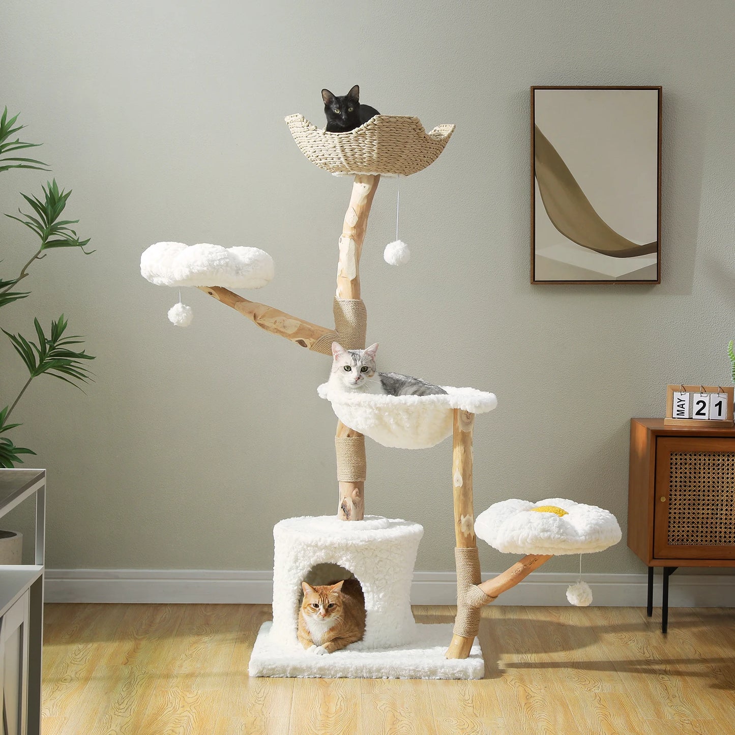 Large cat tree with multiple levels and cat toys in a room setting with several cats sitting on it.