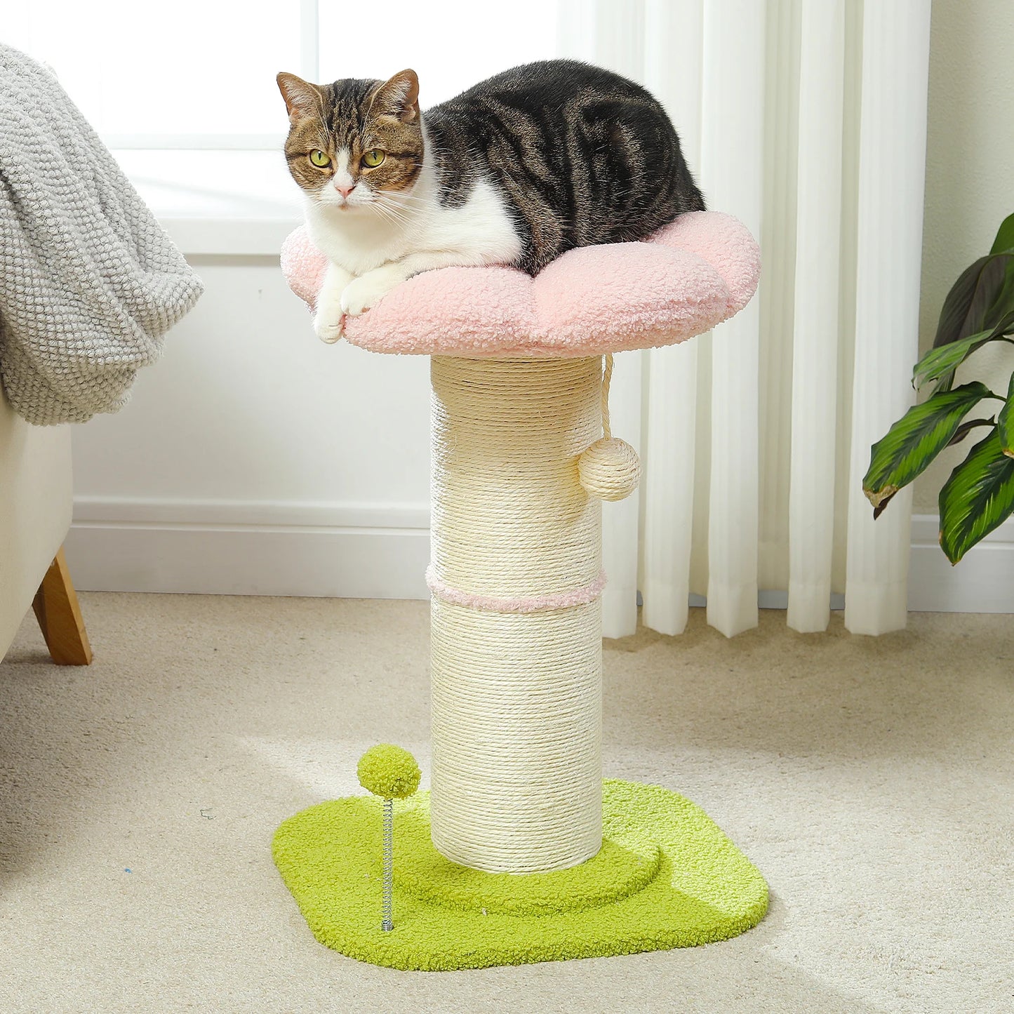Cat sitting on a colorful cat scratching post in a home setting