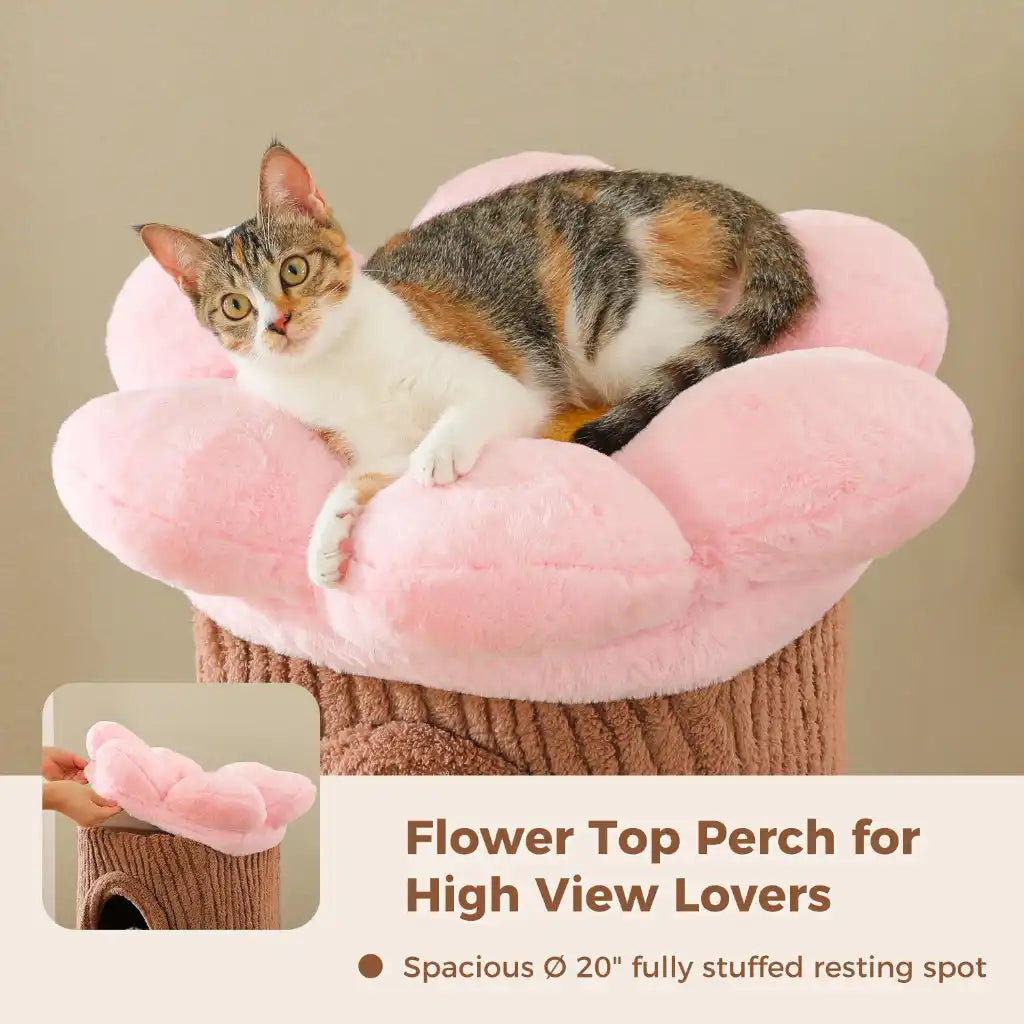 Cat sitting on a pink flower-shaped perch with a beige background