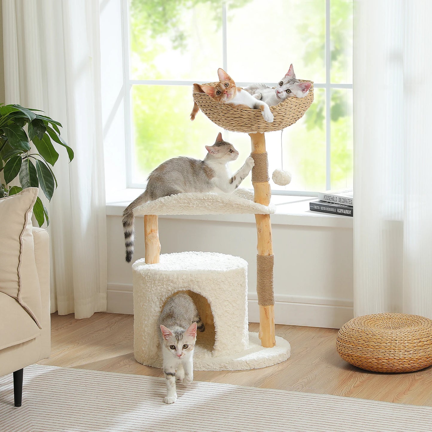 Three cats on a multi-level cat tree in a bright living room.