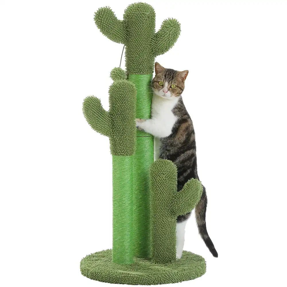 Cat climbing a green cactus-shaped scratching post on a white background