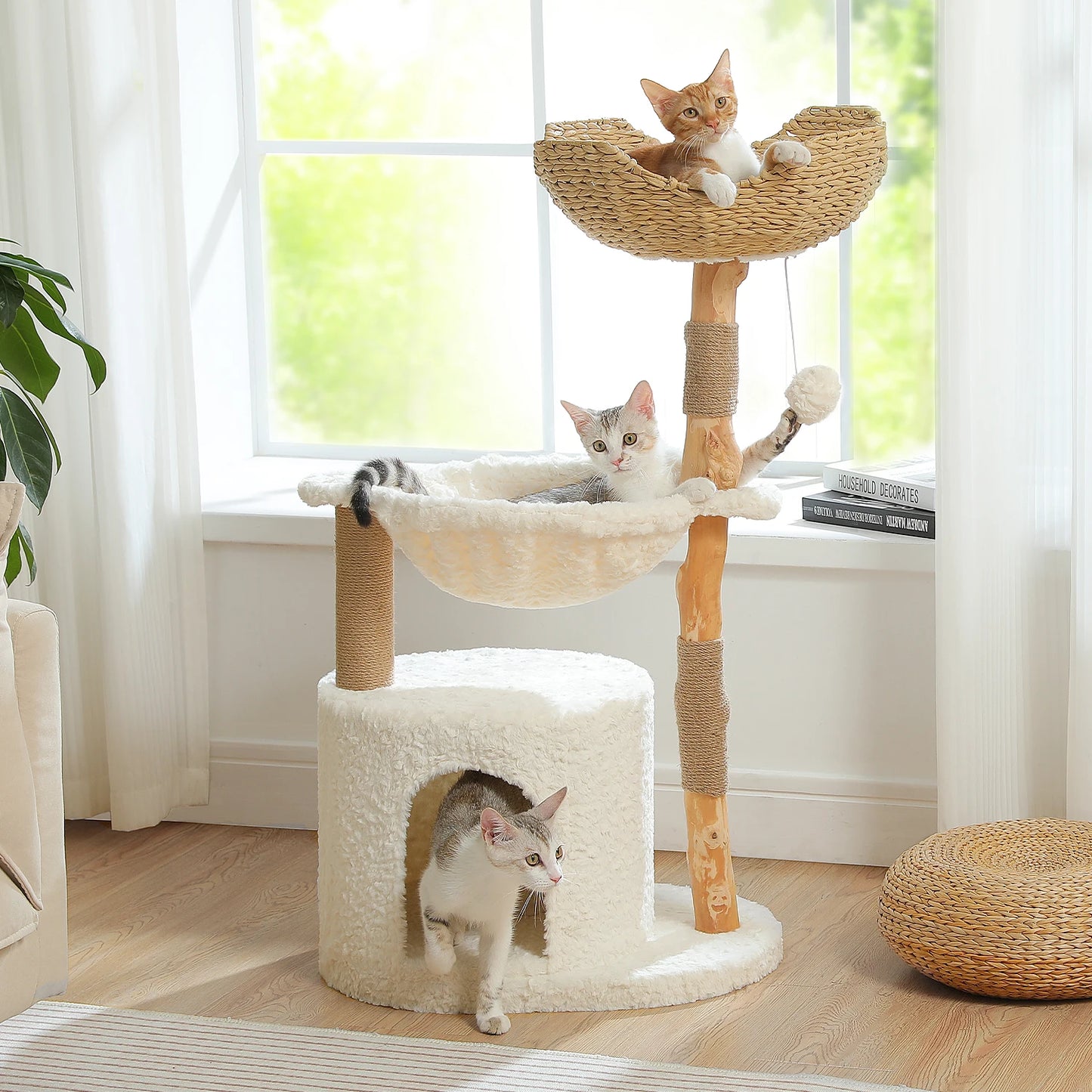 Cat tree with multiple levels and a hammock in a bright room with a window and multiple cats.