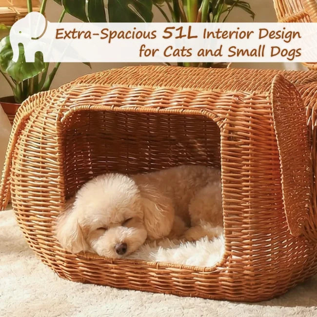 close up of small dog sleeping inside woven wicker pet bed house