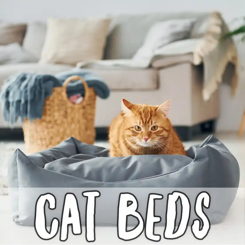 Image of cat in bed with text "cat beds"