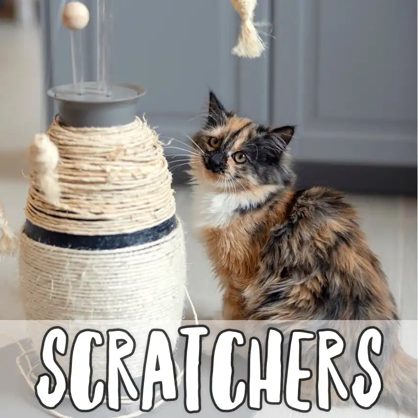 Calico cat sitting next to a cat scratcher with text "Scratchers"