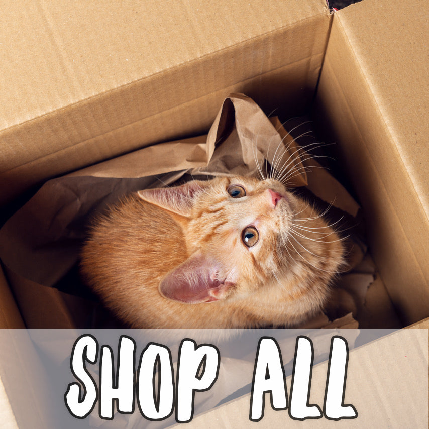 Orange tabby cat in box with text "Shop All"