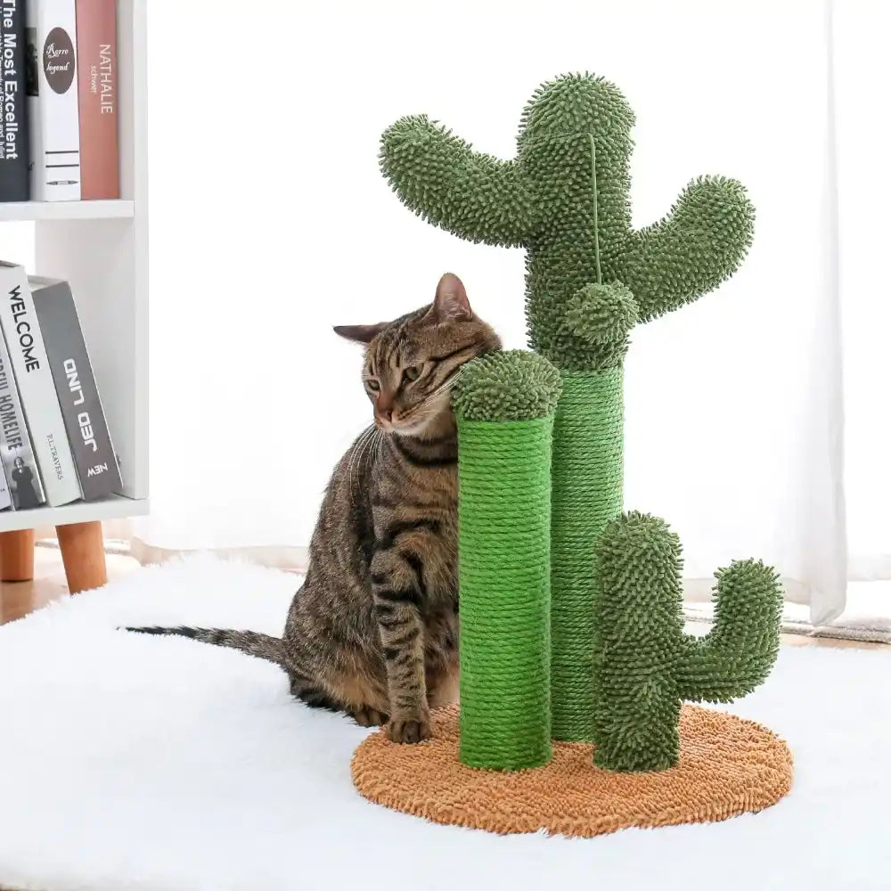 Cat sitting next to a green cactus-shaped cat scratcher on a white surface.