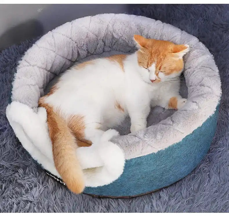 Cat lying on a gray and blue pet bed on a gray carpet