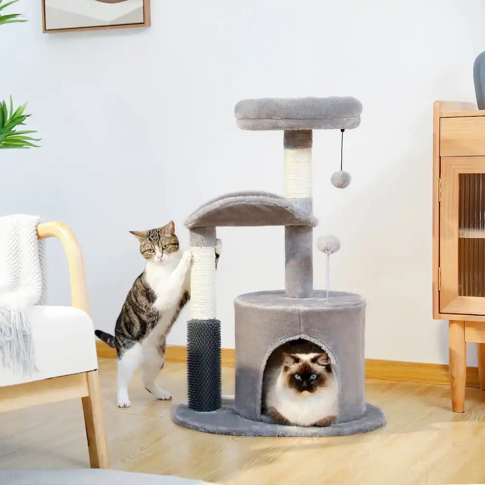 Two cats interacting with a gray cat tree in a room with a wooden floor and furniture.