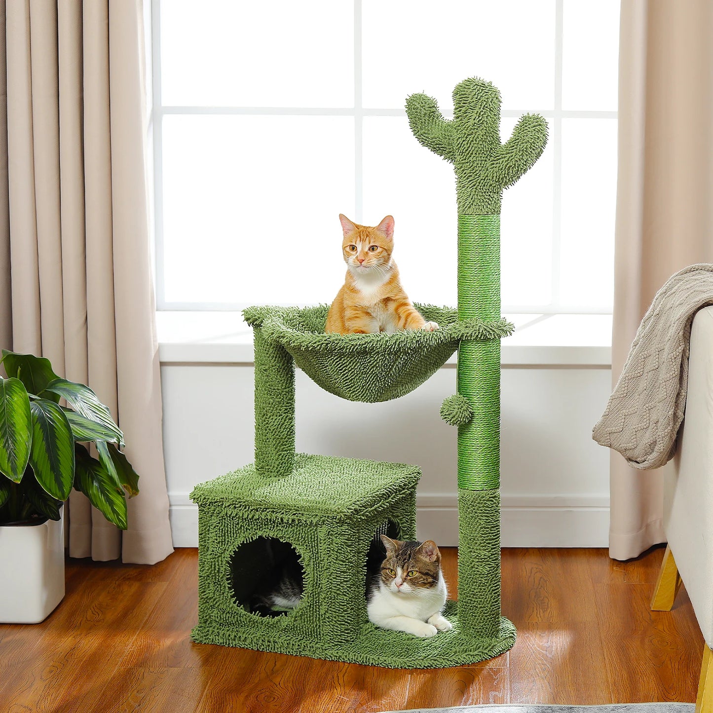 Green cactus cat tree with two cats in a room with large windows and curtains.