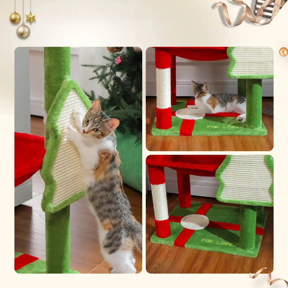 Collage of a cat using a green and red cat tree with a Christmas tree in the background.