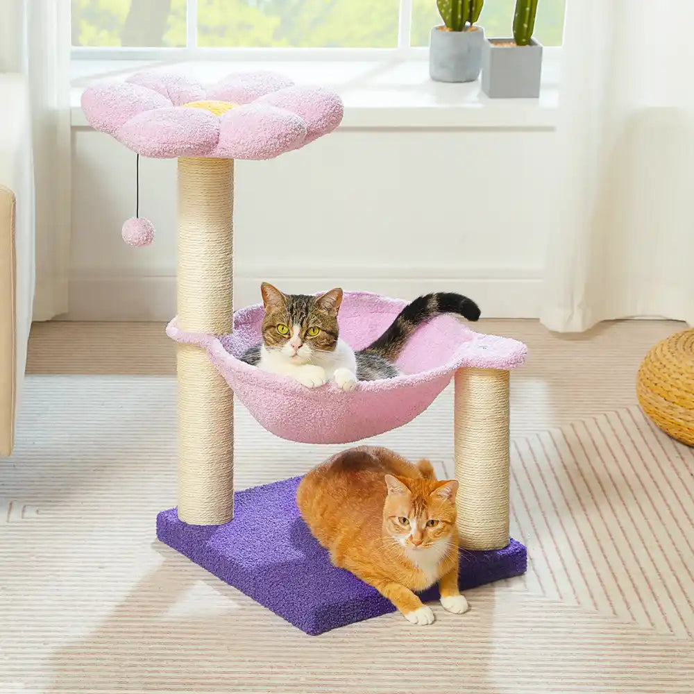 Two cats on a multi-level cat tree with pink and purple hammocks in a bright room.