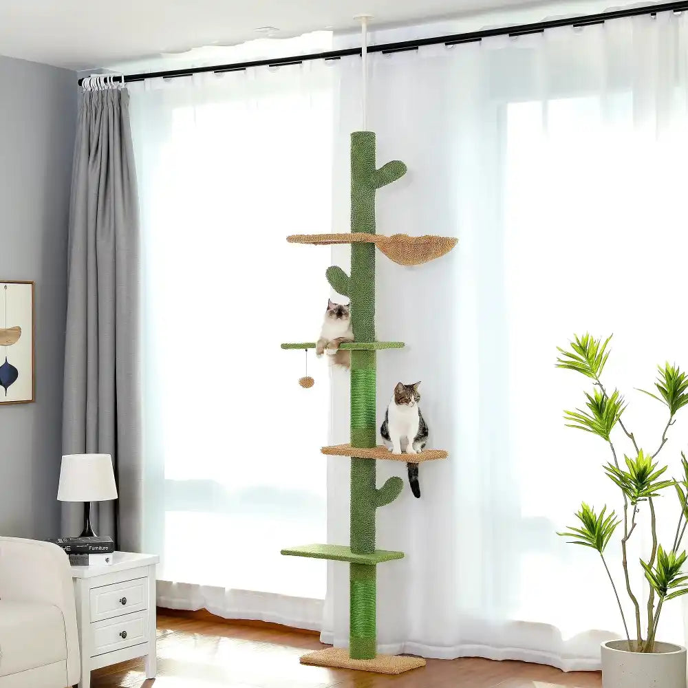Cat tree with shelves in a room with curtains and a plant