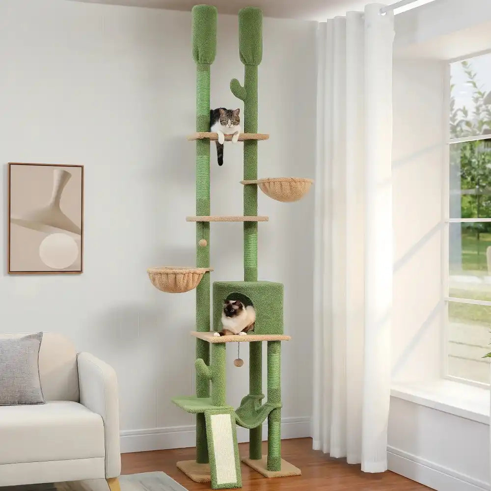 Cat tree with multiple levels and a cat on top in a living room setting