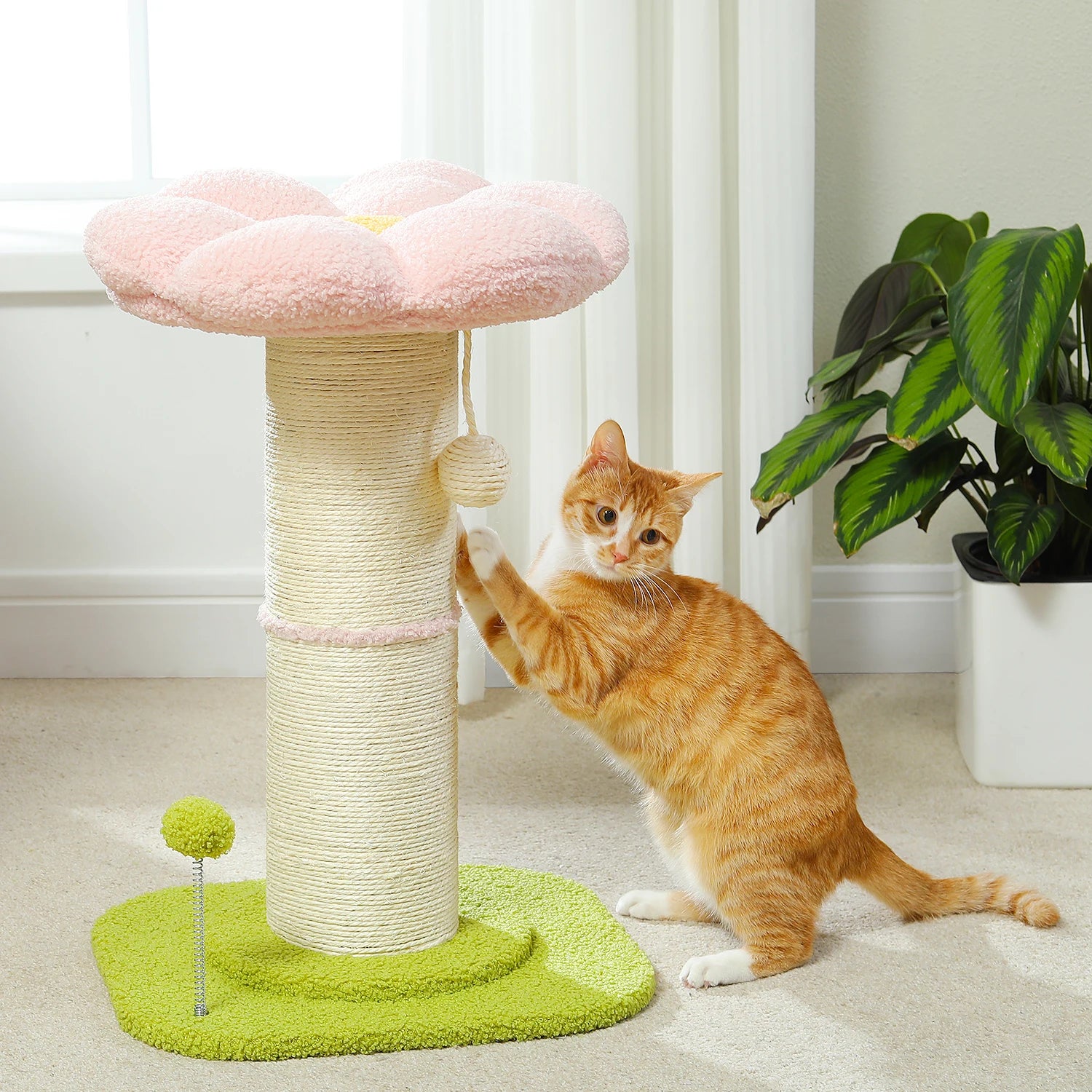Cat playing with a cat scratching tree in a home setting