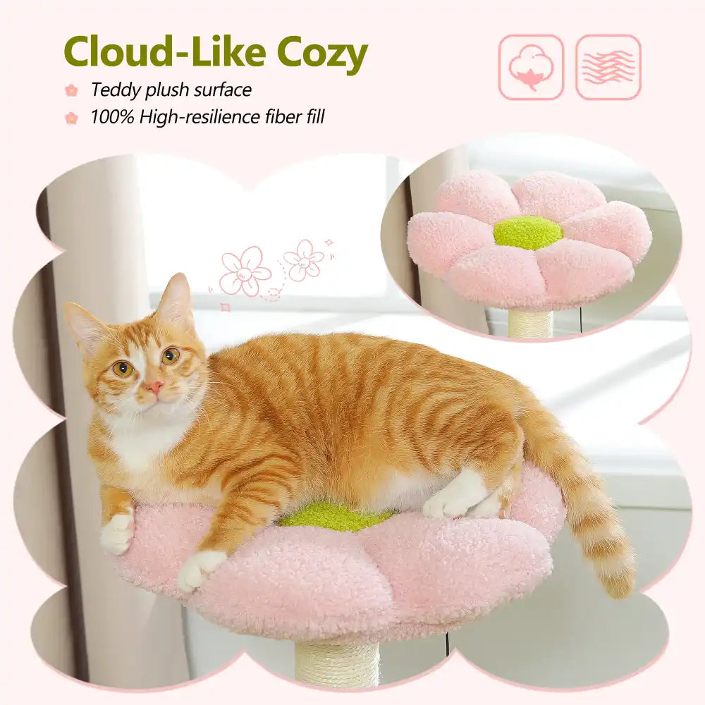 Cat sitting on a pink and green cloud-shaped pet bed with text highlighting features.