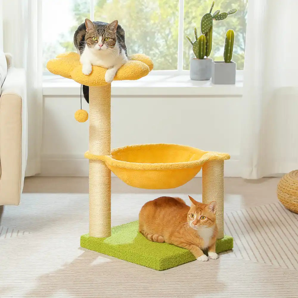 Two cats on a multi-level cat tree with yellow platforms and green base in a bright room.