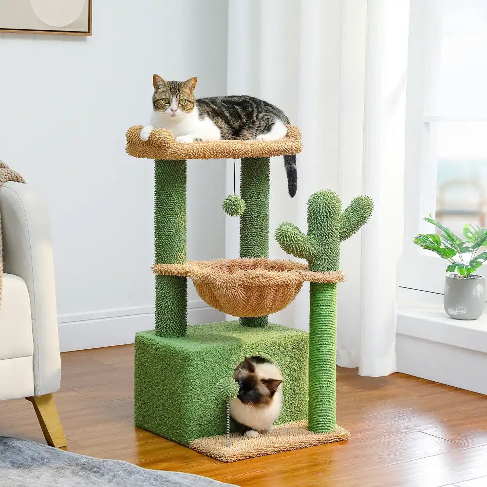 Cat tree with two cats on a wooden floor in a room with white curtains and a plant.