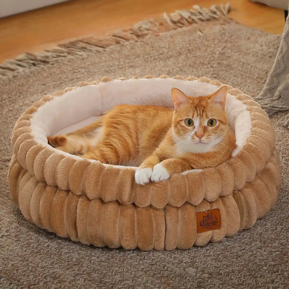 Cat laying in a caramel colored ribbed cat bed in a living room setting