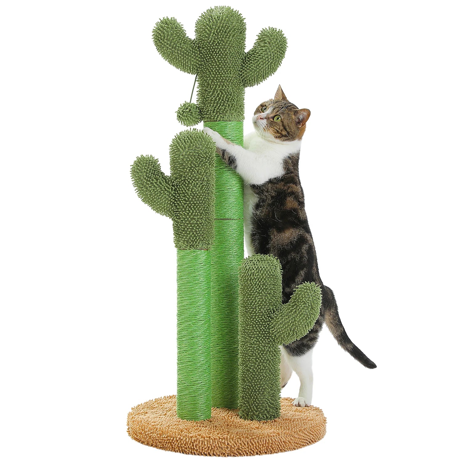 Cat climbing a cactus-shaped scratching post on a white background