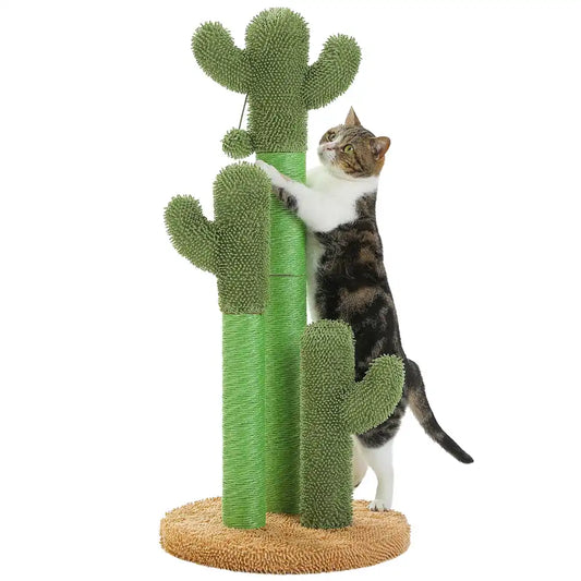 Cat climbing a green cactus-shaped cat tree on a white background