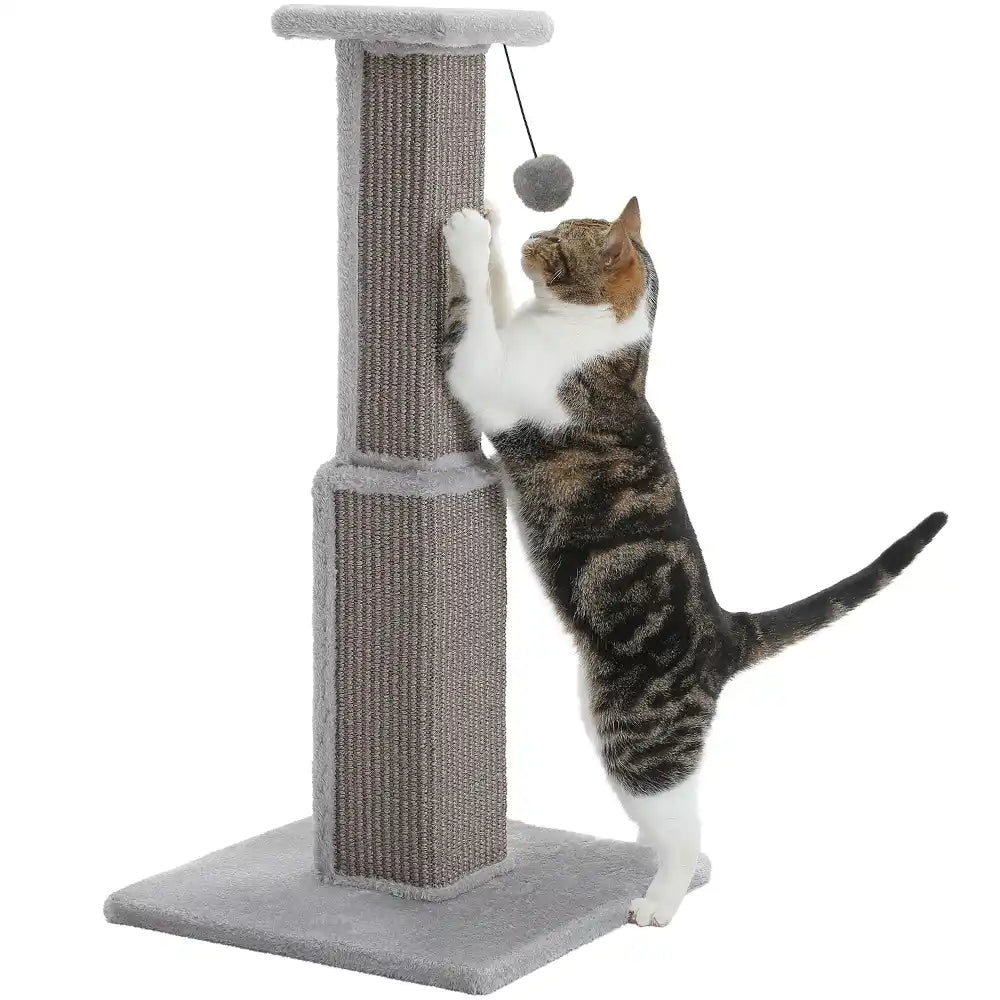 Cat playing with a toy on a gray cat tree against a white background