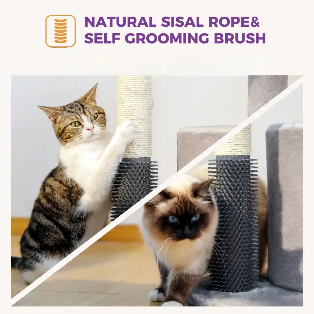 Two cats interacting with a natural sisal rope and self-grooming brush on a white background.