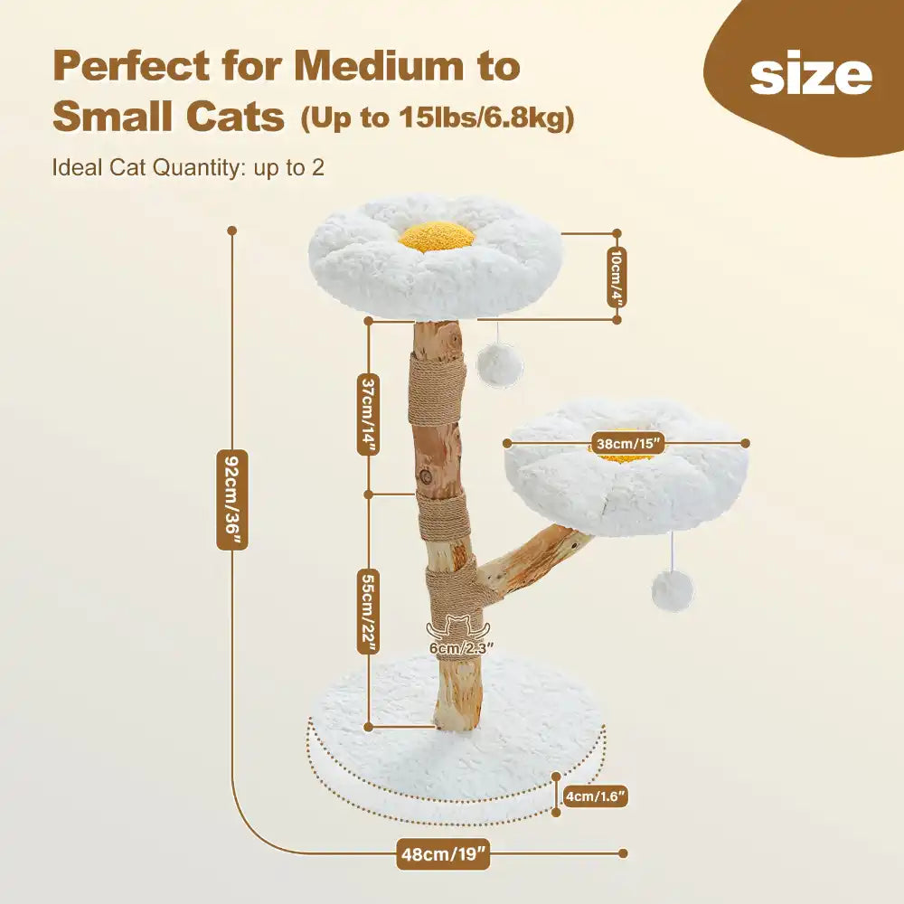 Measurement chart for a cat tree showing dimensions and suitability for medium to small cats.