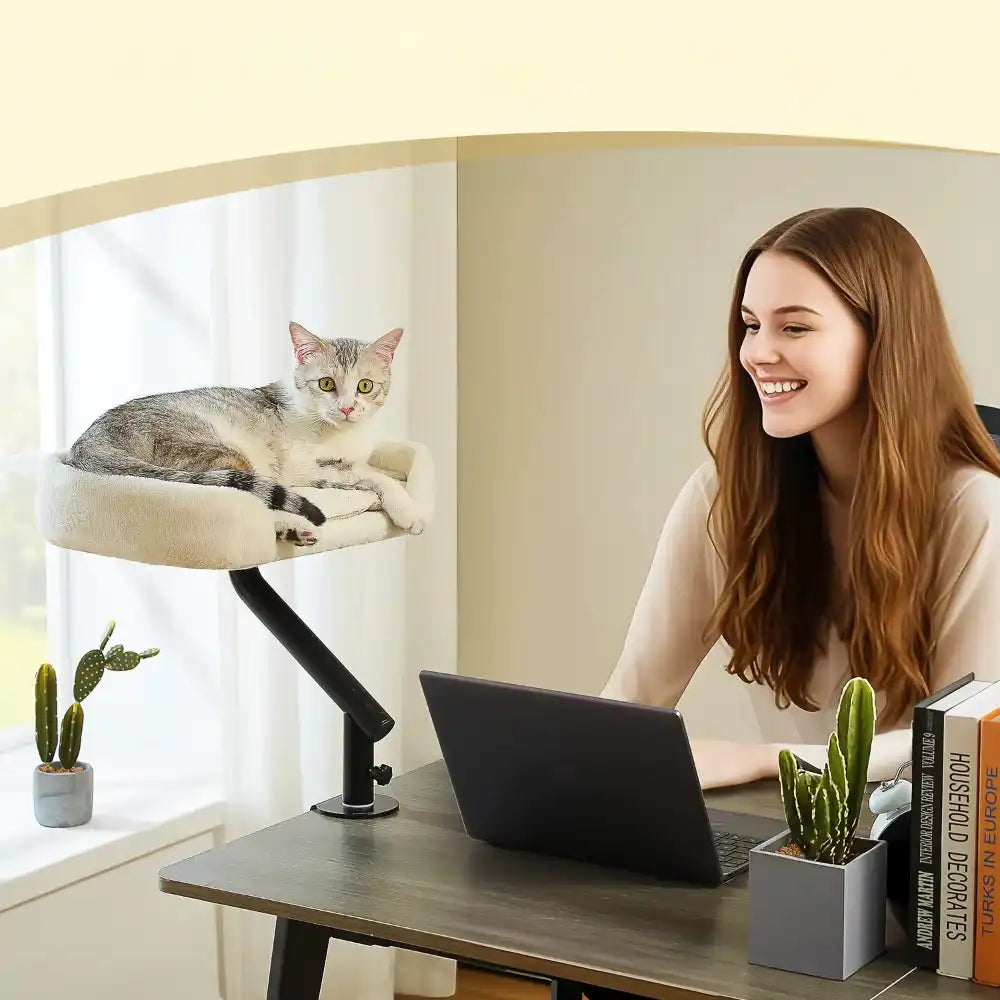 Woman using a laptop at a desk with a cat on a desk mounted perch
