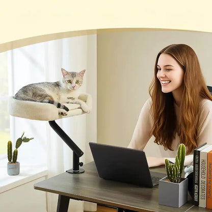 Woman using a laptop at a desk with a cat on a desk mounted perch