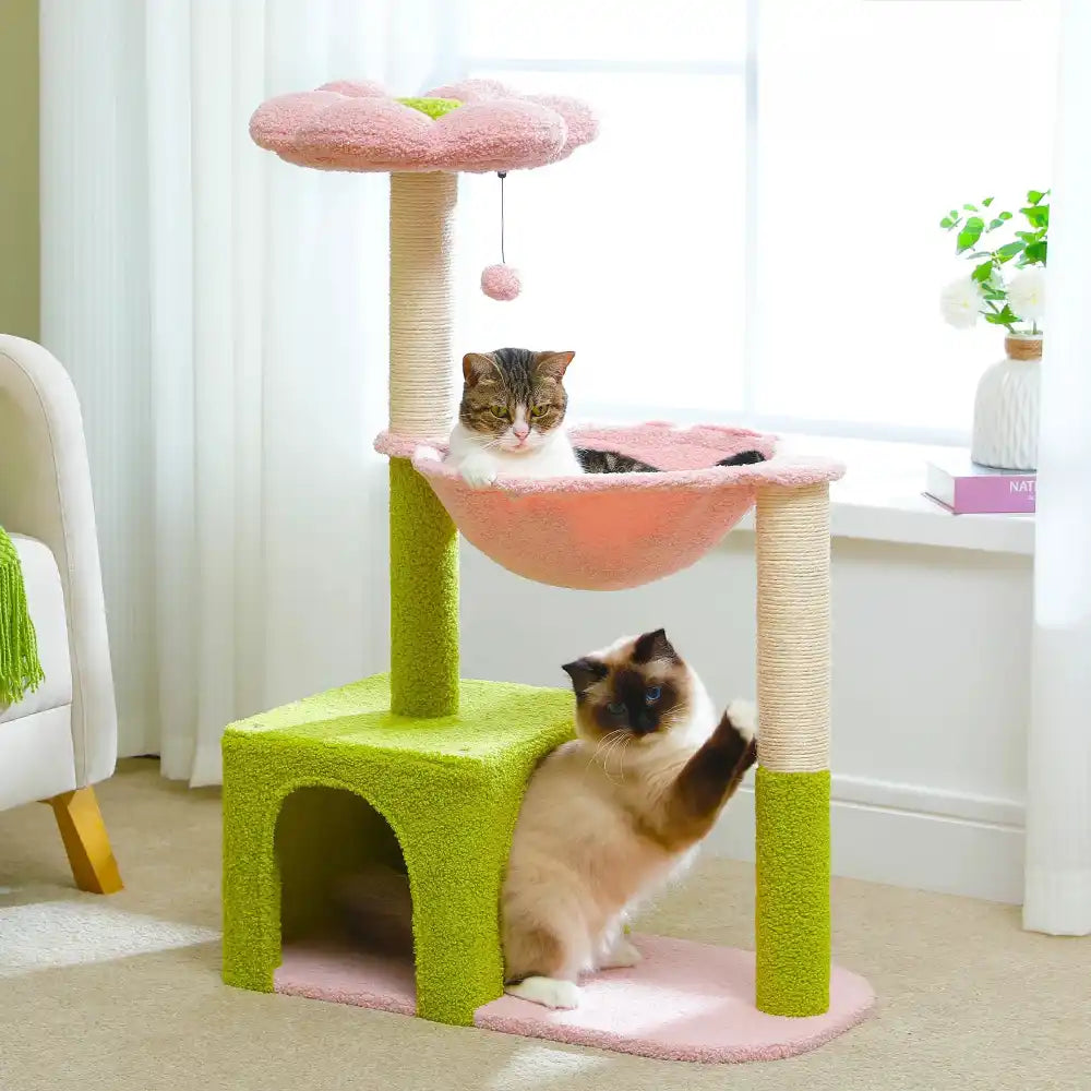 Two cats on a green and pink cat tree in a room with a white curtain and plant.